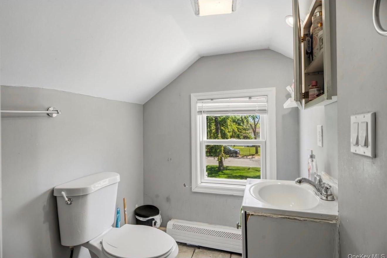 Single Family Bushwick Avenue Suffolk County, NY 11717, MLS-1005256-25