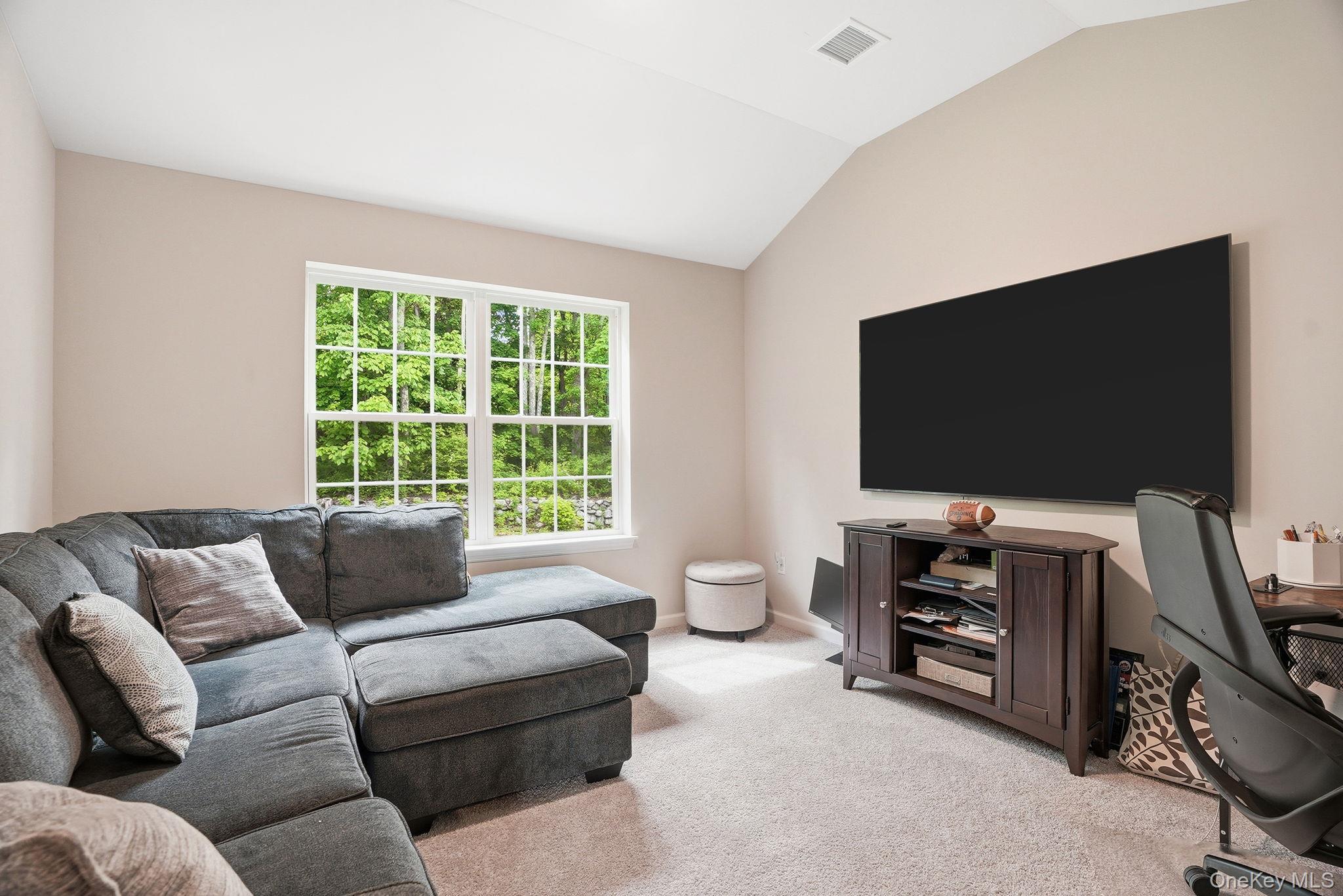 Single Family Muscoot River Road Westchester County, NY 10598, MLS-1005343-27