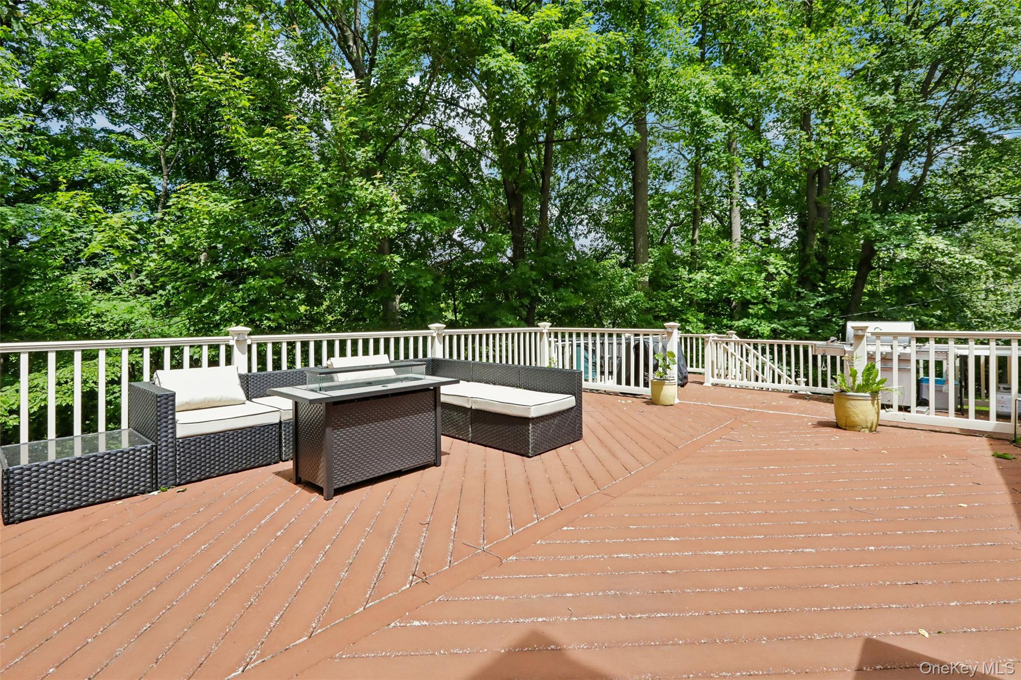 Single Family Olympus Road Orange County, NY 10930, MLS-1005423-35