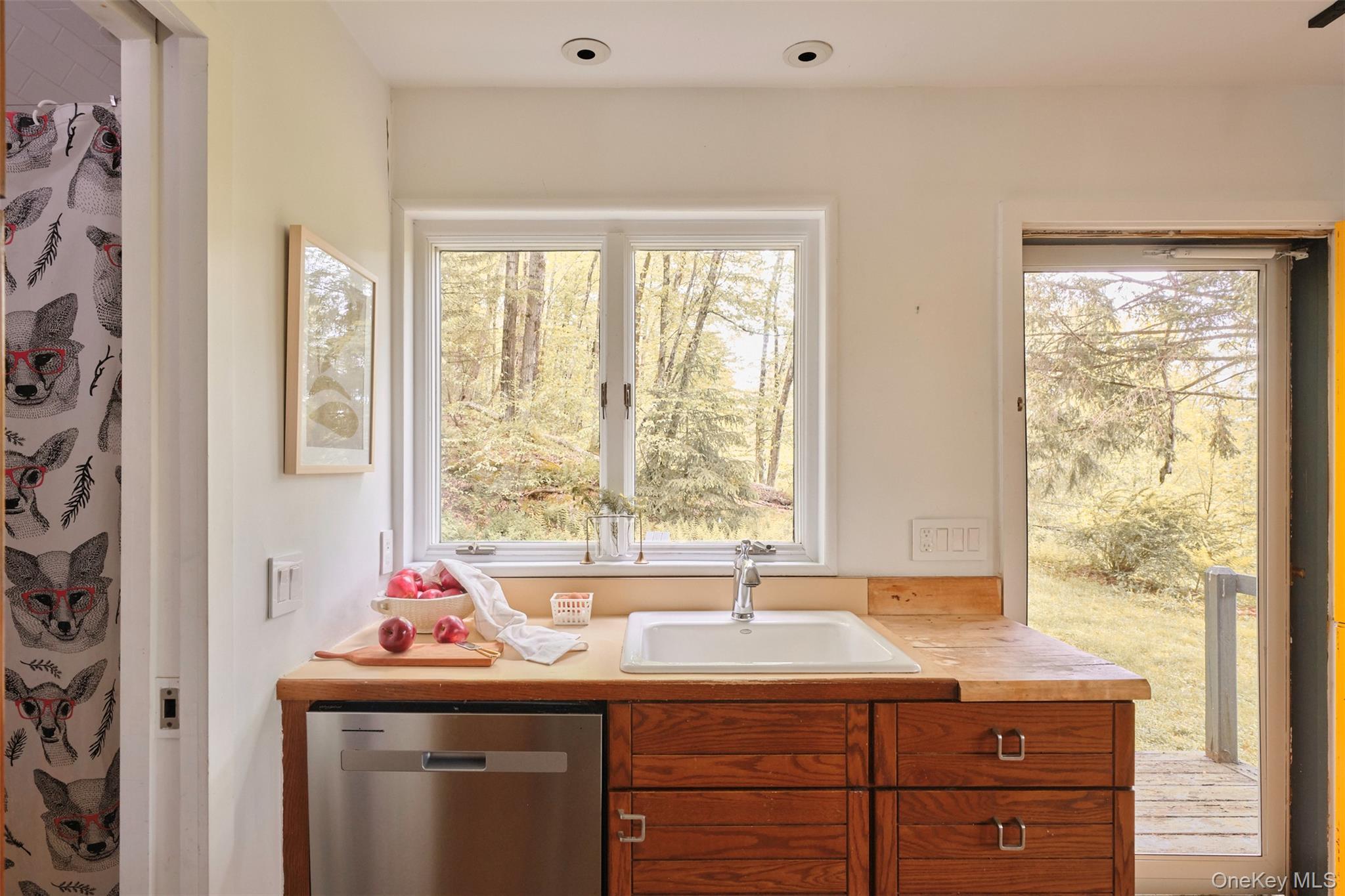 Single Family Briscoe Road Sullivan County, NY 12783, MLS-1005487-17