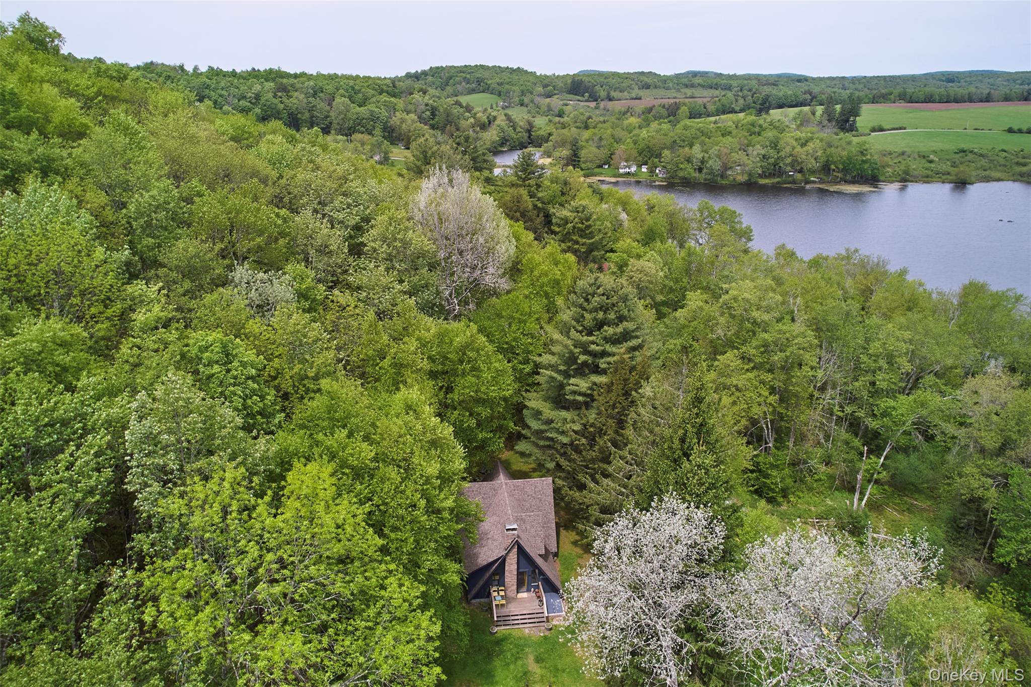 Single Family Briscoe Road Sullivan County, NY 12783, MLS-1005487-2
