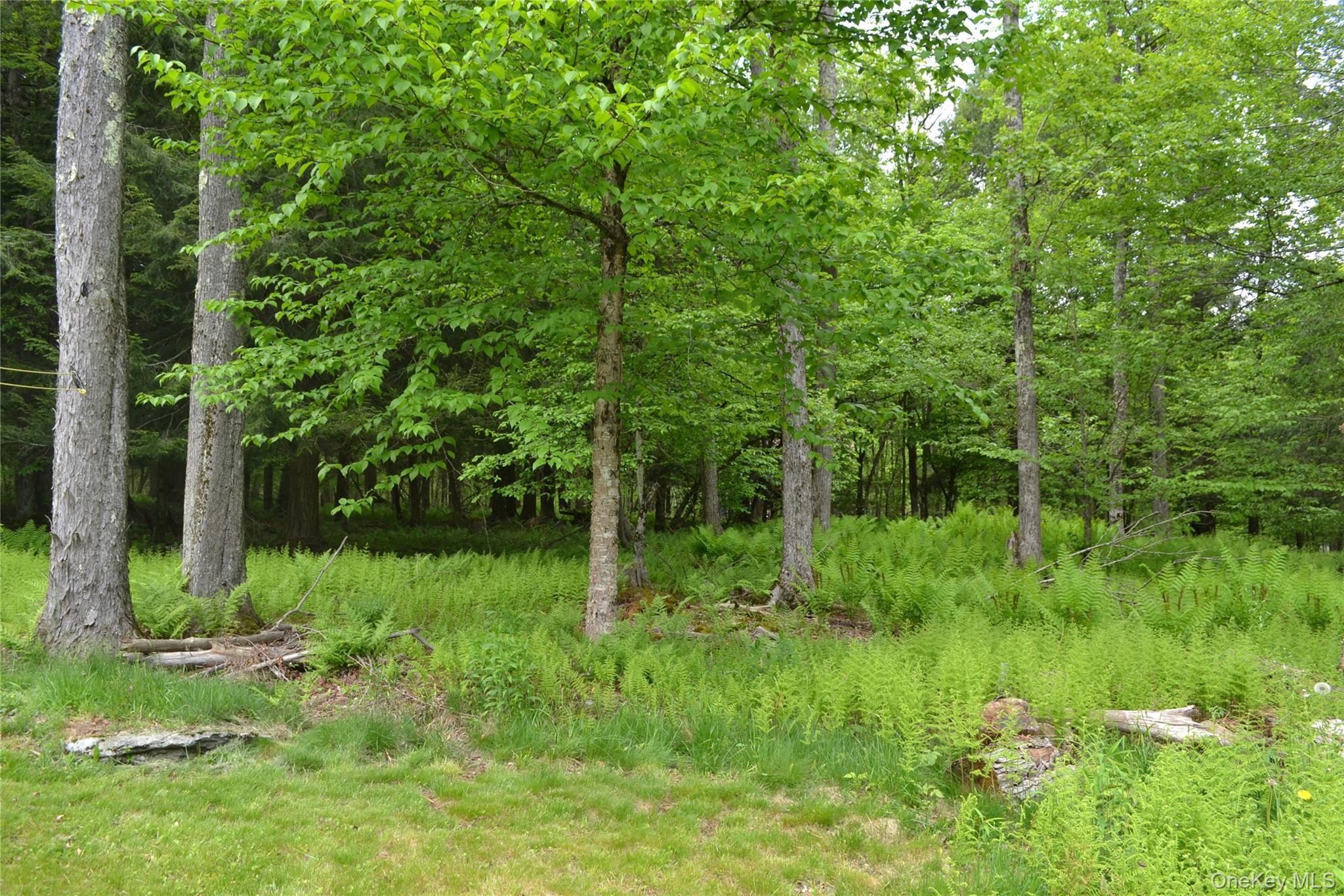 Single Family Lake Muskoday Sullivan County, NY 12776, MLS-1005531-22