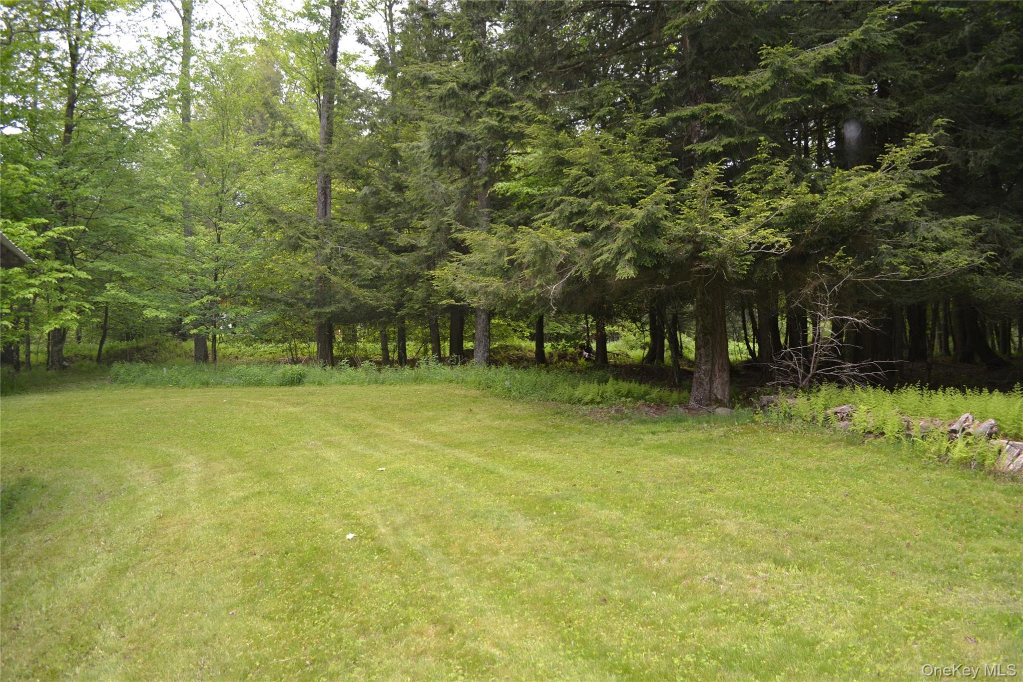 Single Family Lake Muskoday Sullivan County, NY 12776, MLS-1005531-23