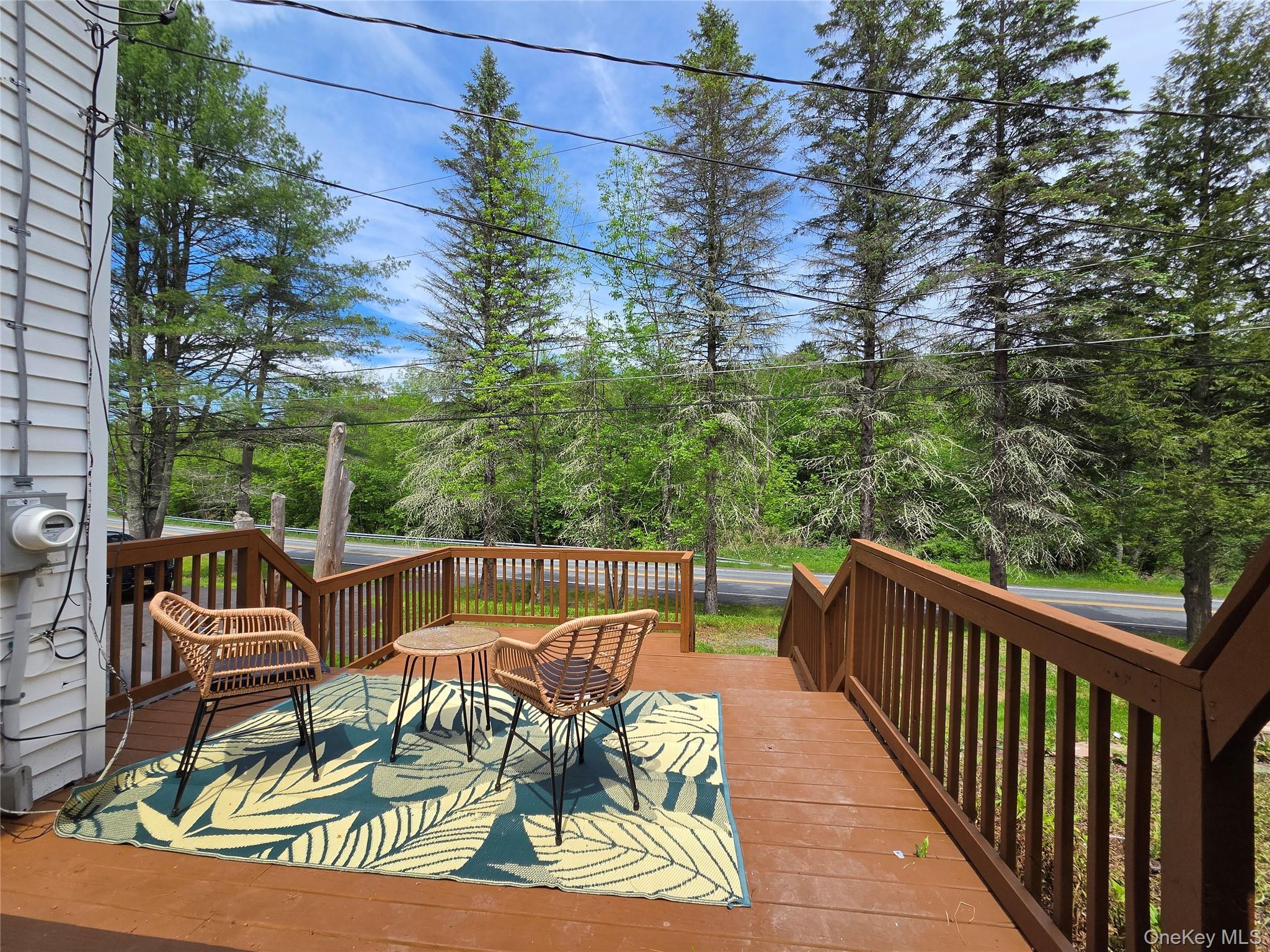 Single Family Harris Bushville Road Sullivan County, NY 12701, MLS-1005533-3
