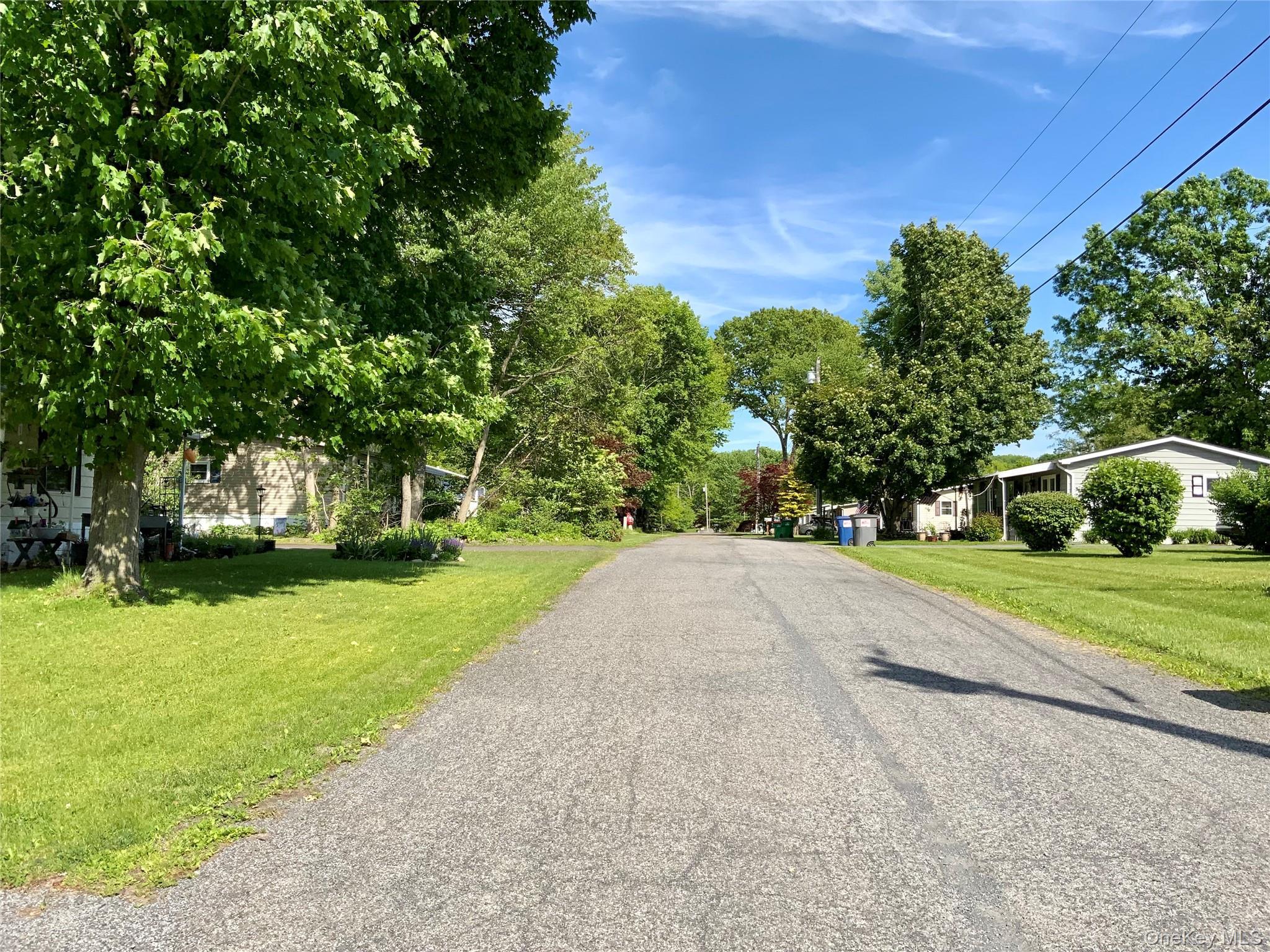Single Family Cook Lane Ulster County, NY 12561, MLS-1005575-17