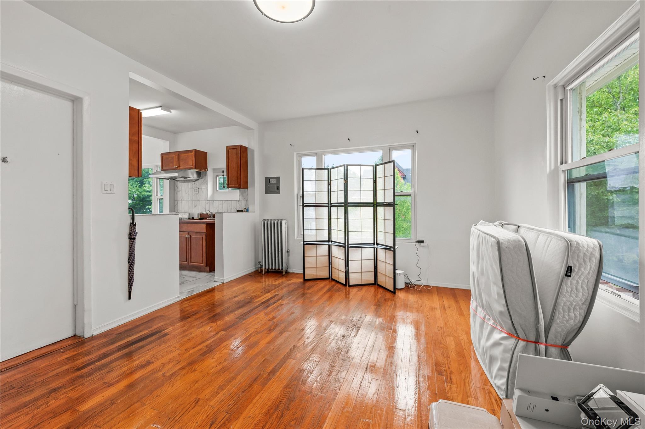 Single Family E 16th Street Brooklyn, NY 11226, MLS-1005637-15