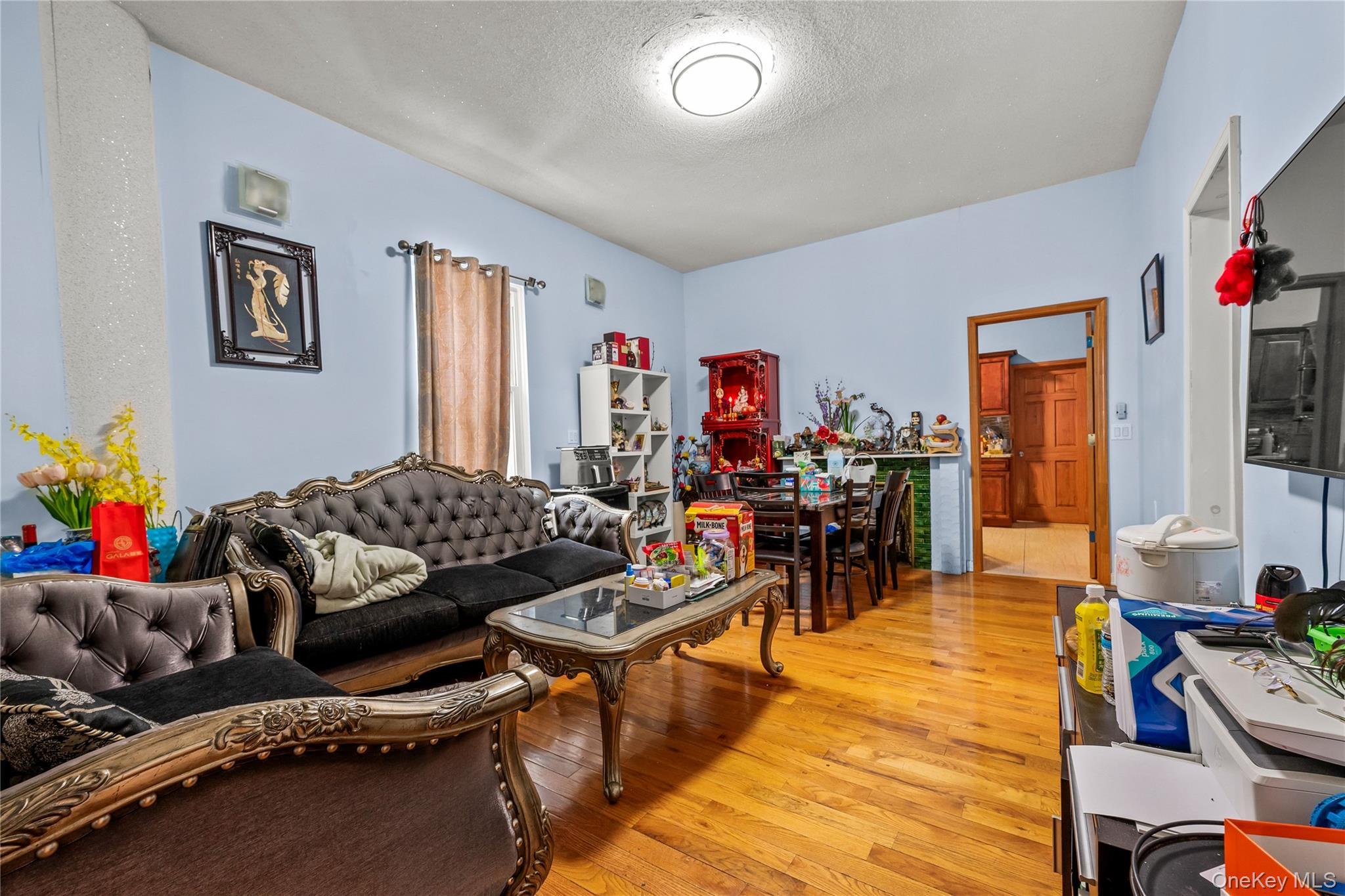 Single Family E 16th Street Brooklyn, NY 11226, MLS-1005637-24