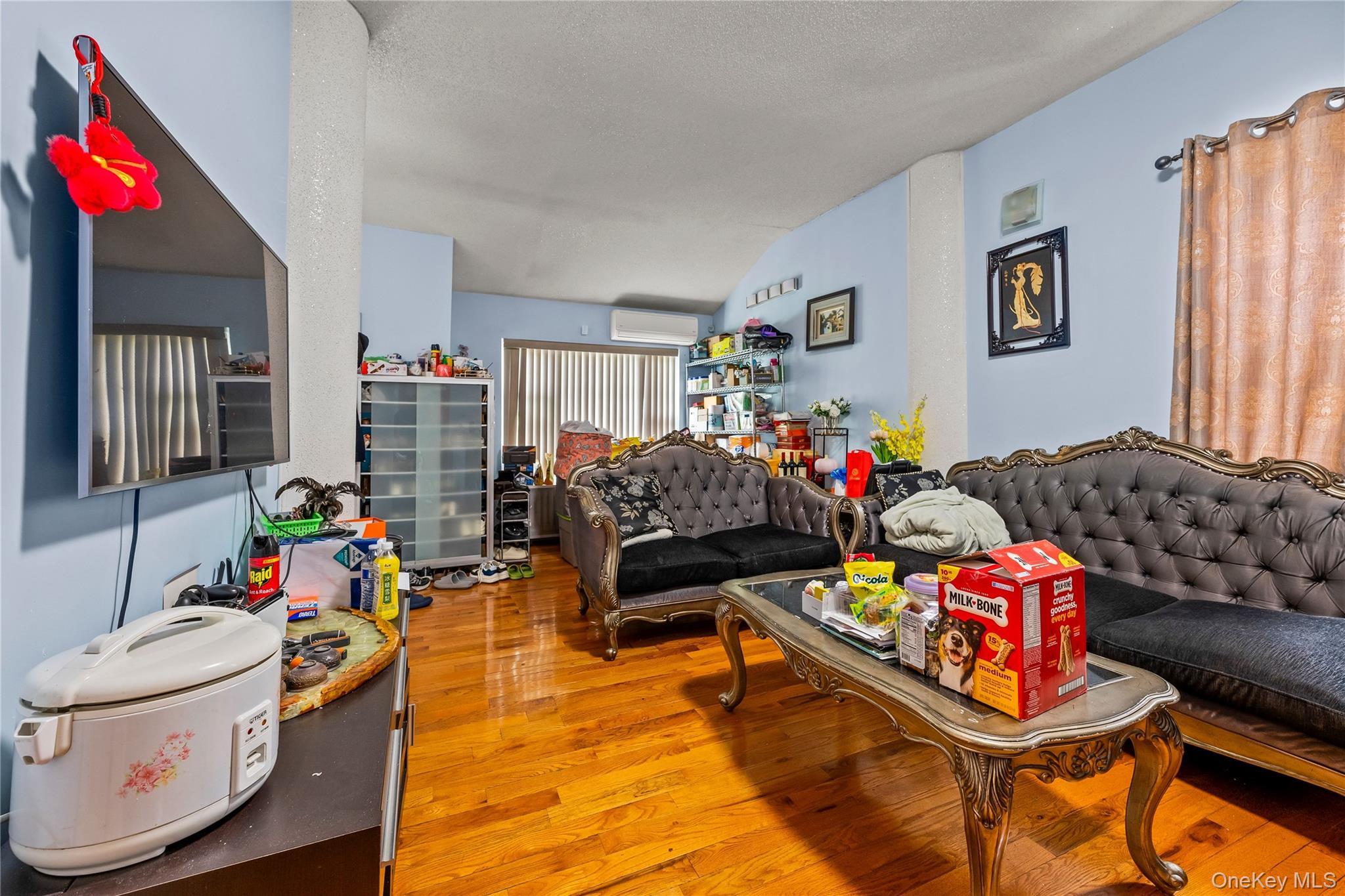 Single Family E 16th Street Brooklyn, NY 11226, MLS-1005637-25