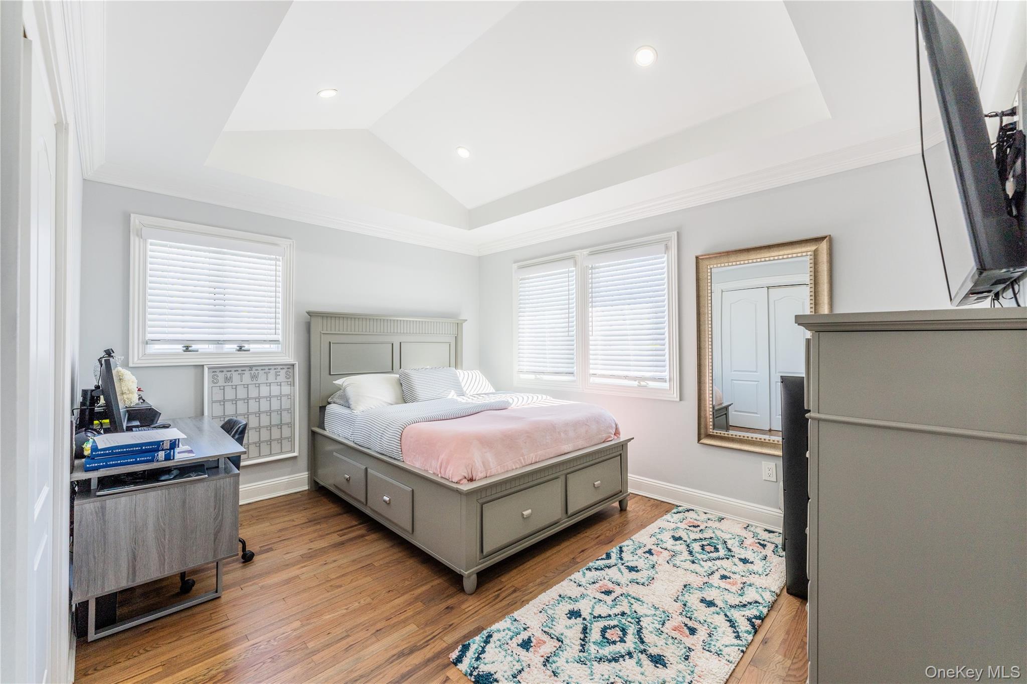 Single Family Dunhill Road  Nassau County, NY 11040, MLS-1005653-21