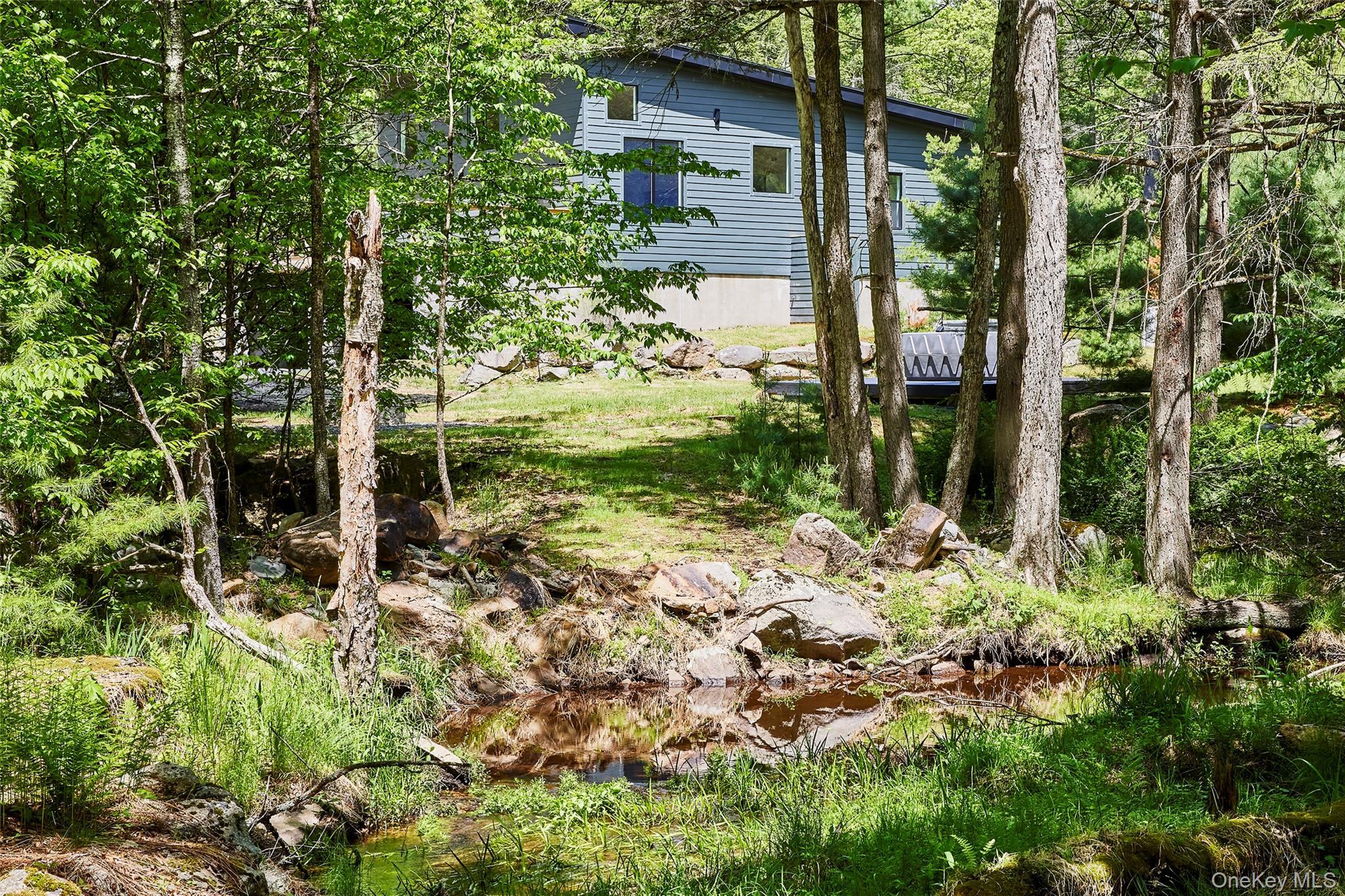 Single Family Curtis Road  Sullivan County, NY 12732, MLS-1005685-38