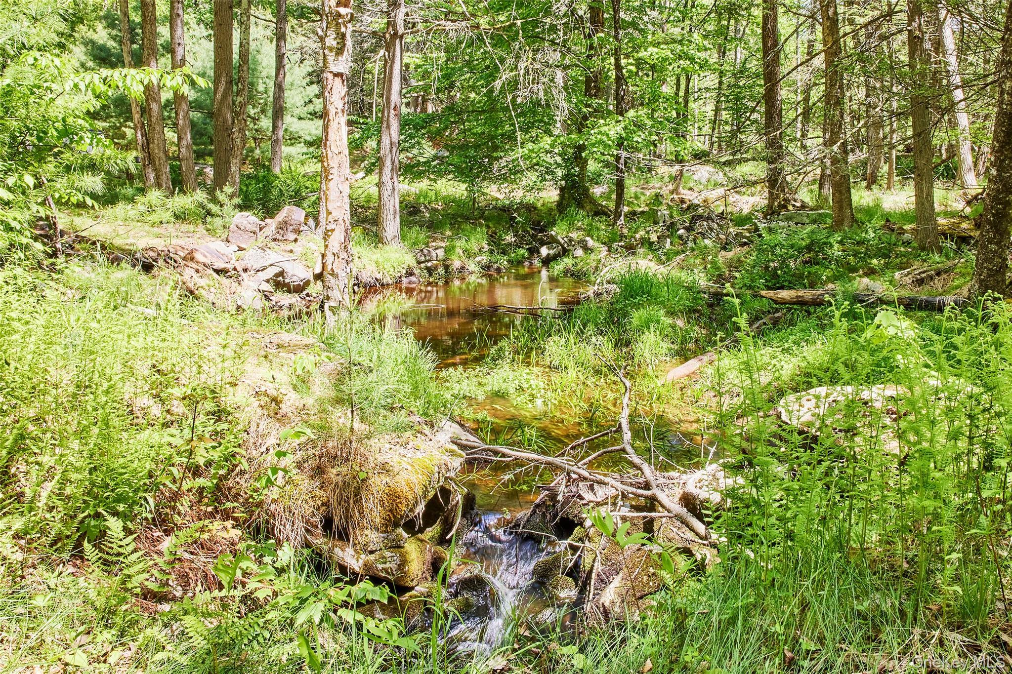 Single Family Curtis Road  Sullivan County, NY 12732, MLS-1005685-40