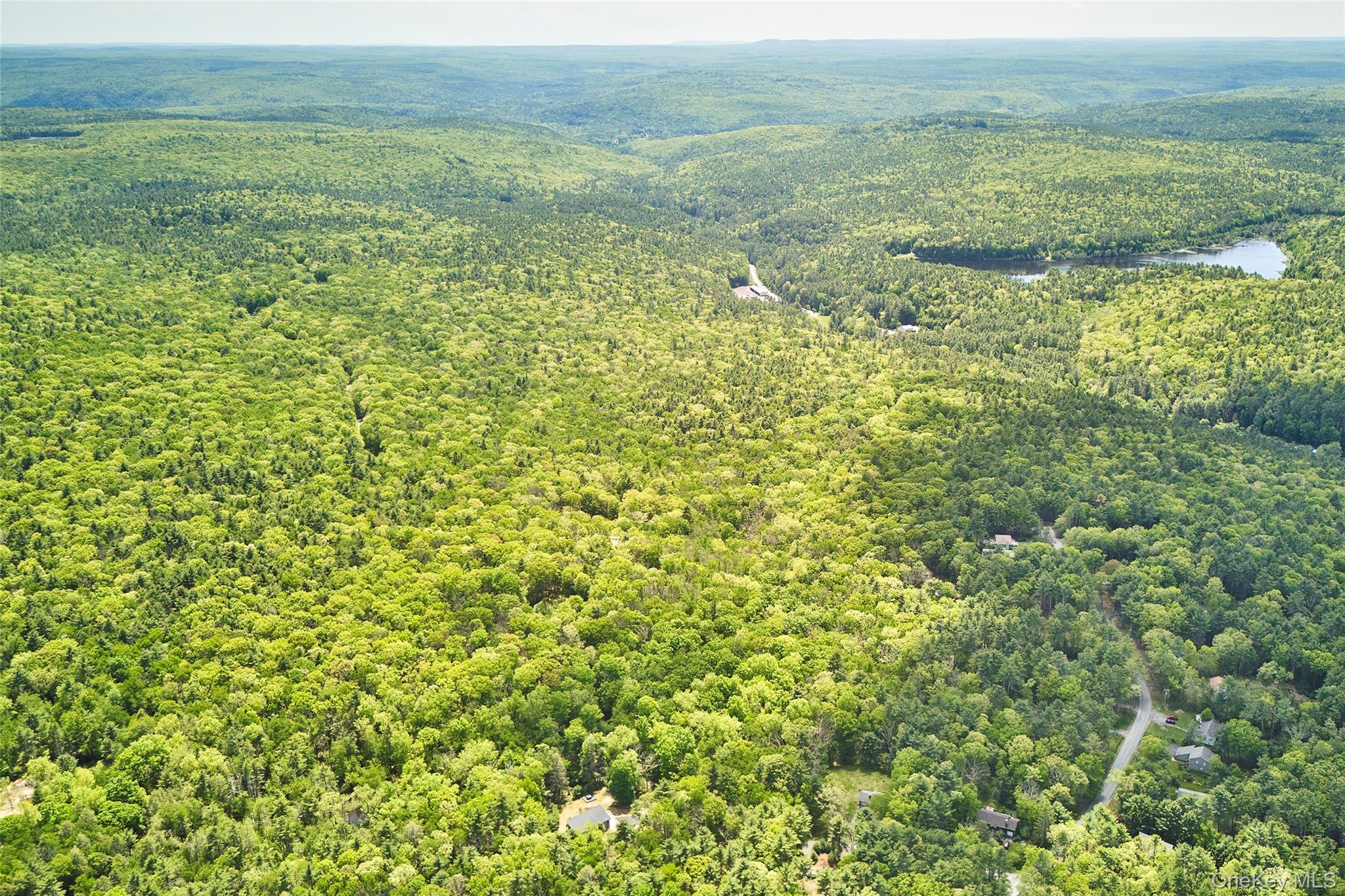 Single Family Curtis Road  Sullivan County, NY 12732, MLS-1005685-41