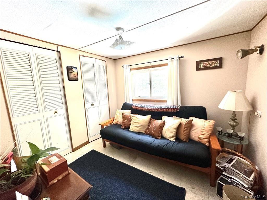 Single Family Mesmer Sullivan County, NY 12723, MLS-1005698-13
