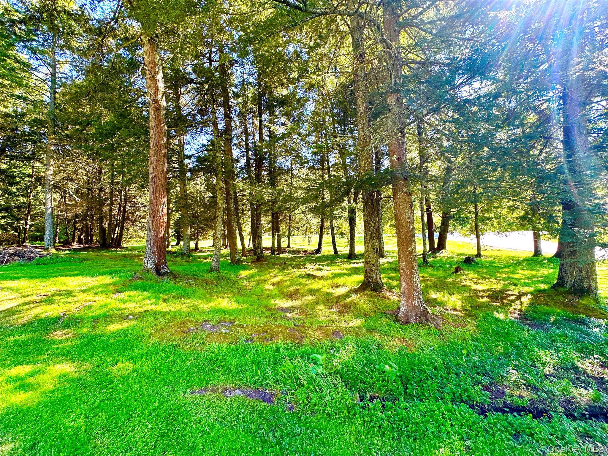 Single Family Mesmer Sullivan County, NY 12723, MLS-1005698-17