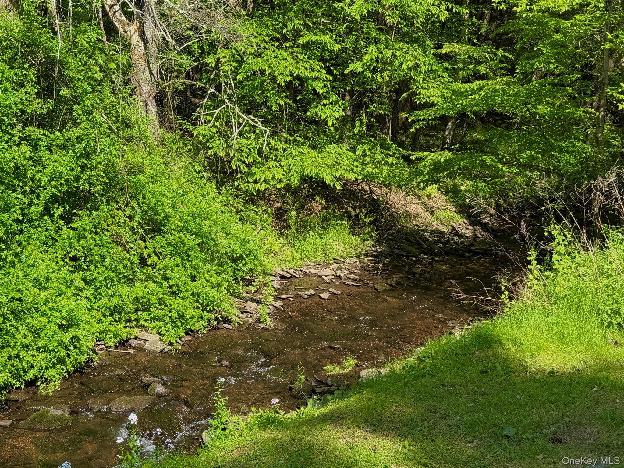 Single Family Mesmer  Sullivan County, NY 12723, MLS-1005698-18