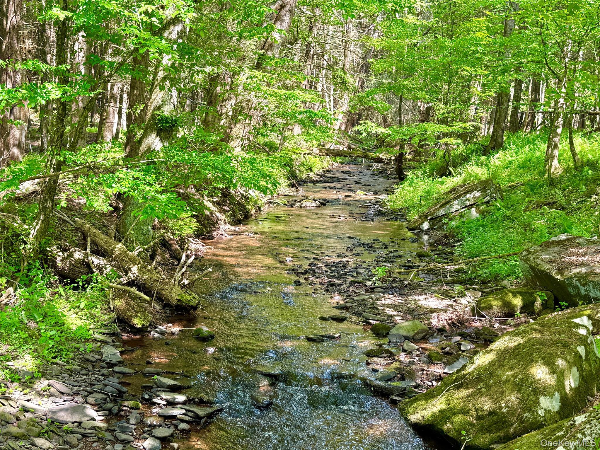 Single Family Mesmer Sullivan County, NY 12723, MLS-1005698-4