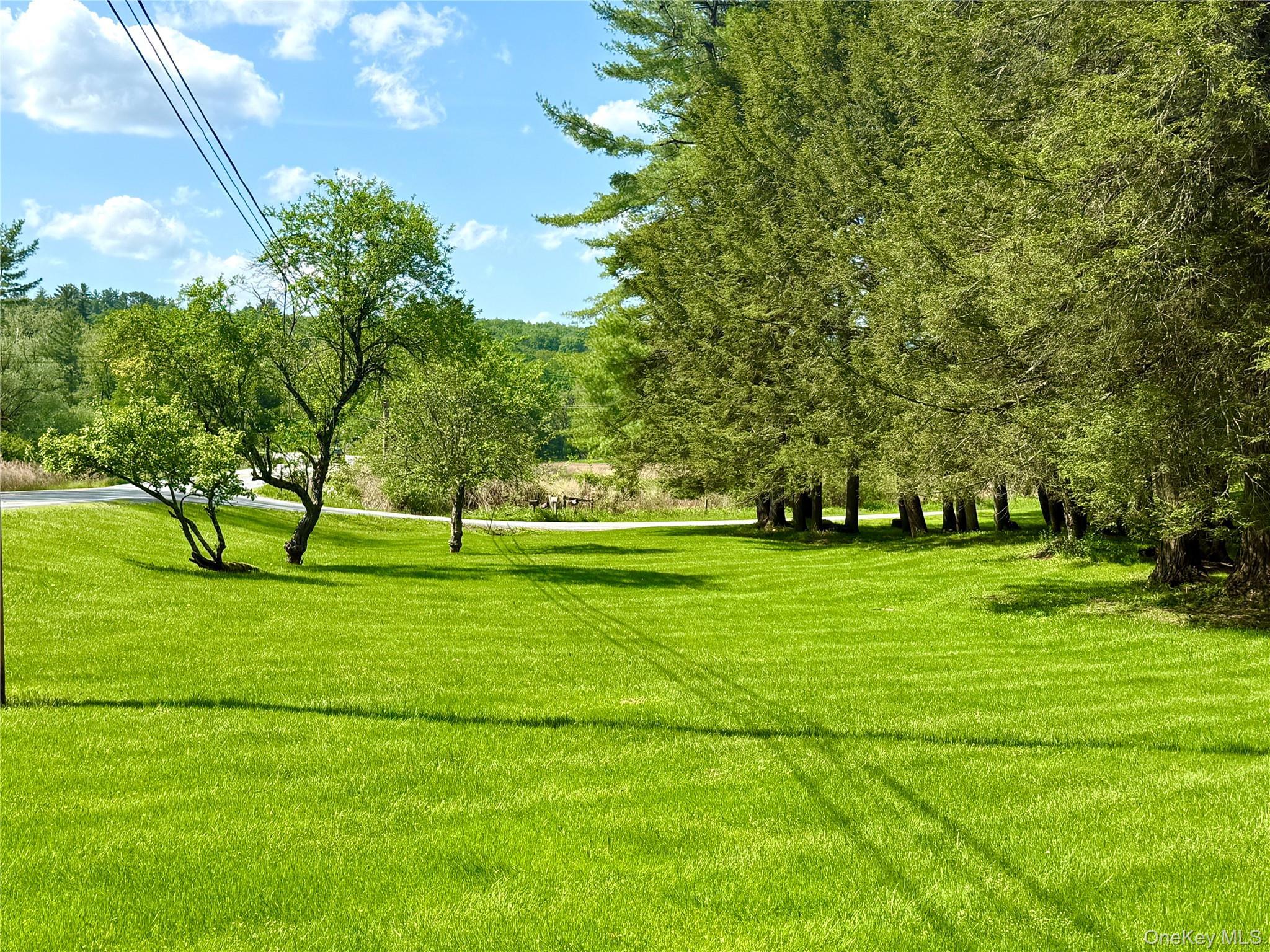 Single Family Mesmer Sullivan County, NY 12723, MLS-1005698-5