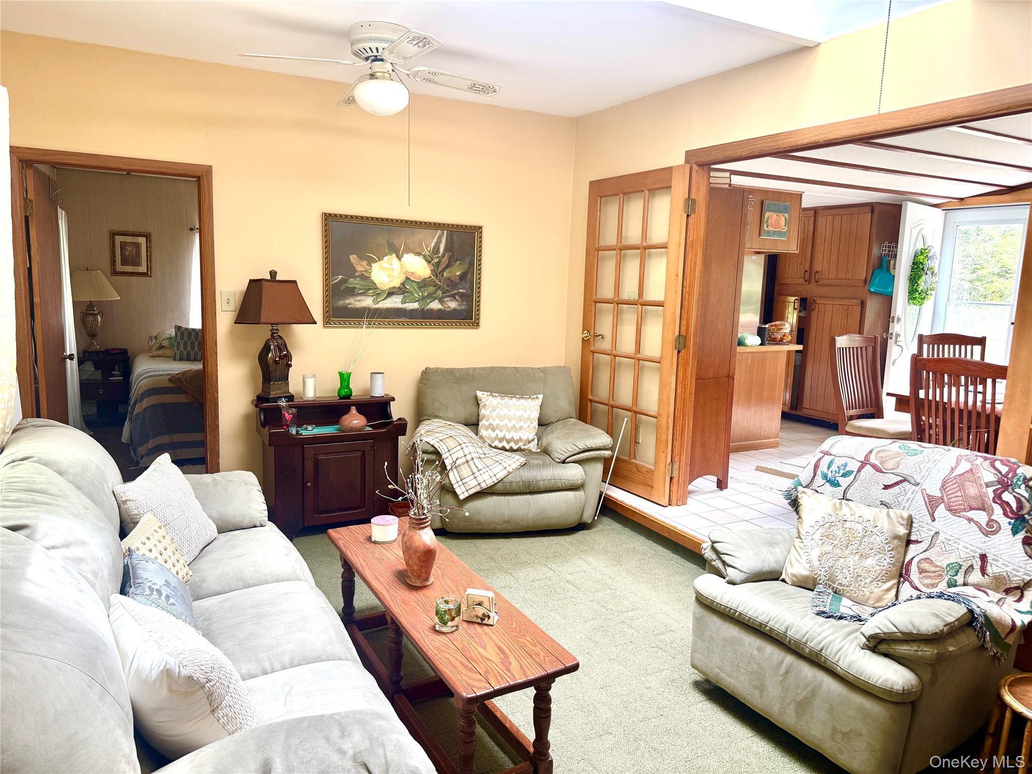 Single Family Mesmer Sullivan County, NY 12723, MLS-1005698-9