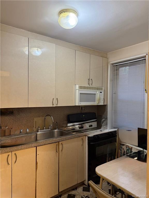Coop West End Avenue  Brooklyn, NY 11235, MLS-1005717-11