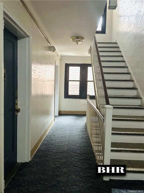 Coop West End Avenue Brooklyn, NY 11235, MLS-1005717-5