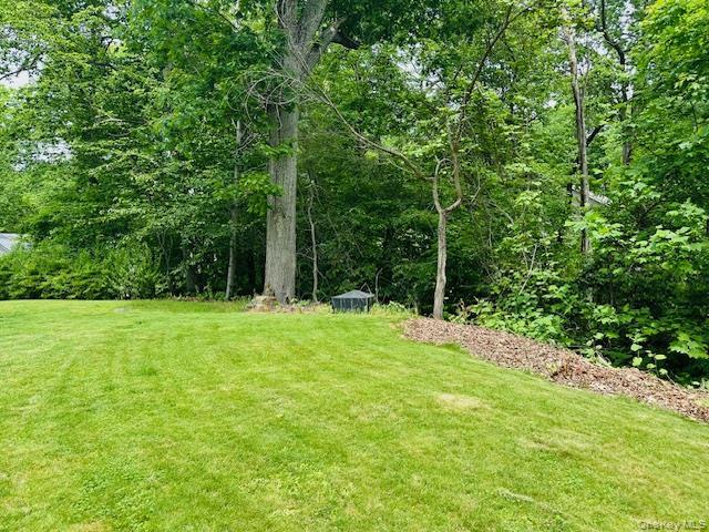 Single Family Roanoke Putnam County, NY 12563, MLS-1005721-24