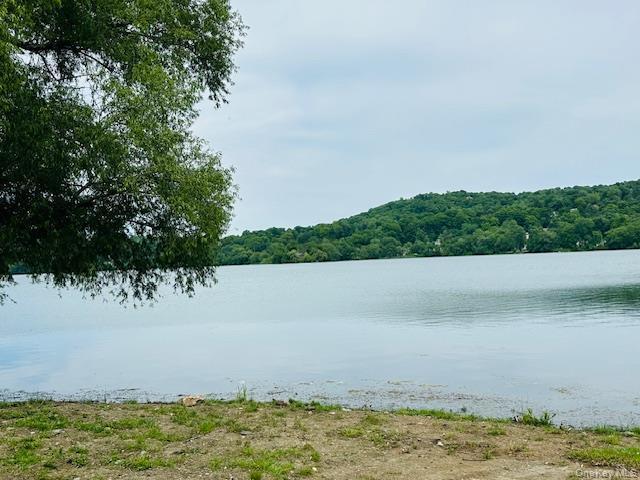 Single Family Roanoke Putnam County, NY 12563, MLS-1005721-36