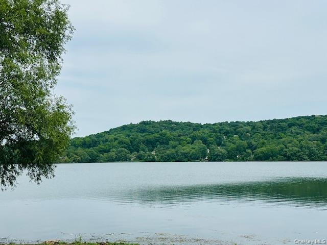 Single Family Roanoke Putnam County, NY 12563, MLS-1005721-38