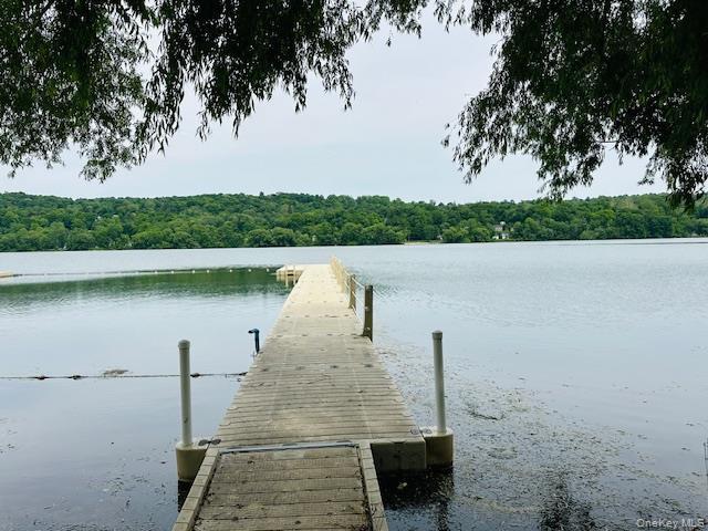 Single Family Roanoke Putnam County, NY 12563, MLS-1005721-41