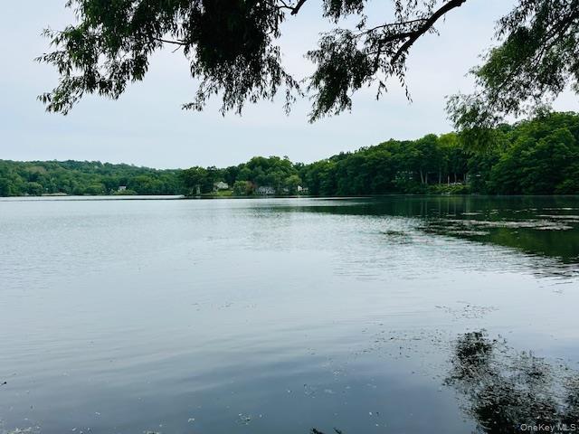 Single Family Roanoke Putnam County, NY 12563, MLS-1005721-42