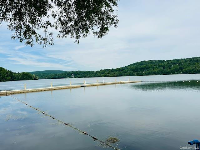 Single Family Roanoke Putnam County, NY 12563, MLS-1005721-43