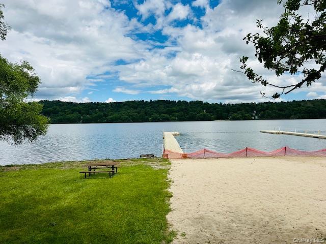 Single Family Roanoke Putnam County, NY 12563, MLS-1005721-46