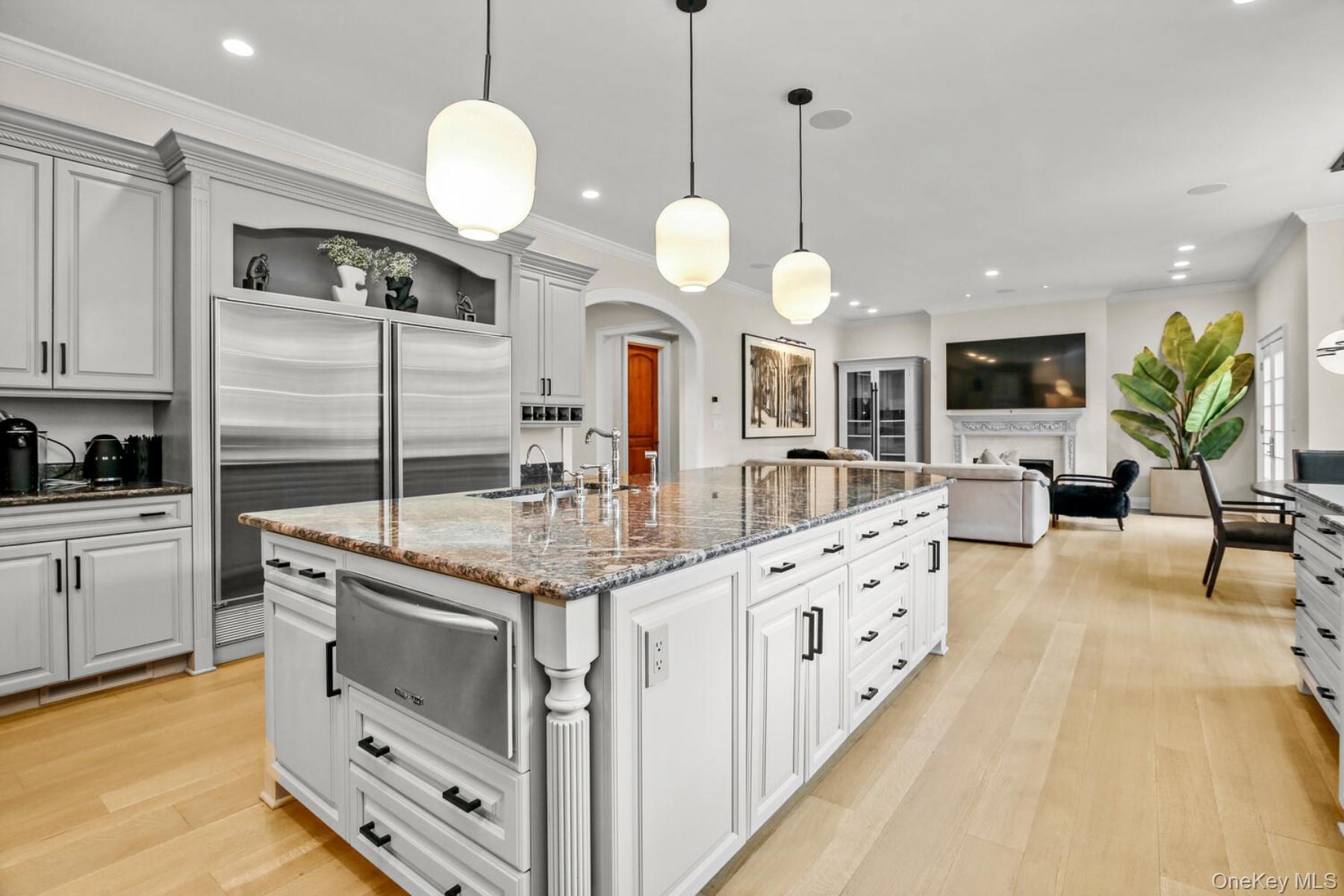 Single Family Cowdray Park Drive  Westchester County, NY 10504, MLS-1005728-11