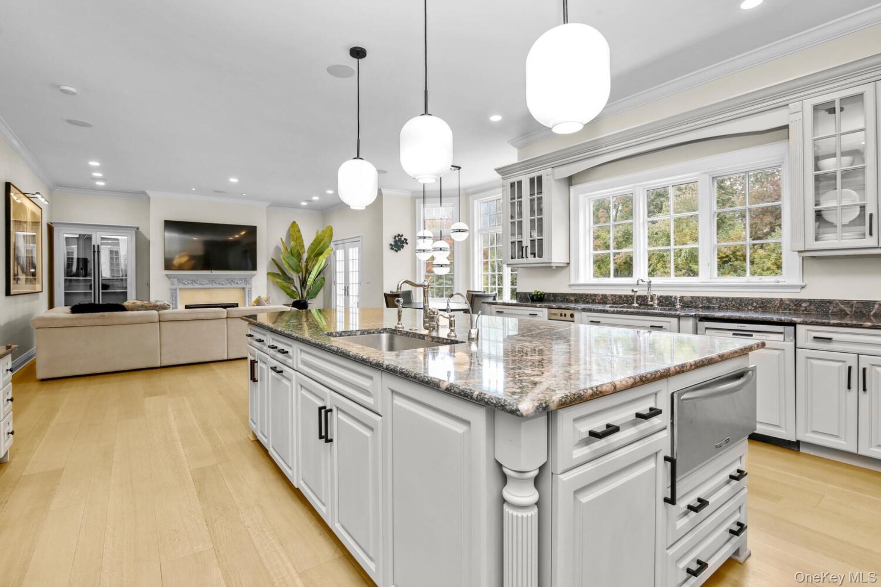 Single Family Cowdray Park Drive  Westchester County, NY 10504, MLS-1005728-12