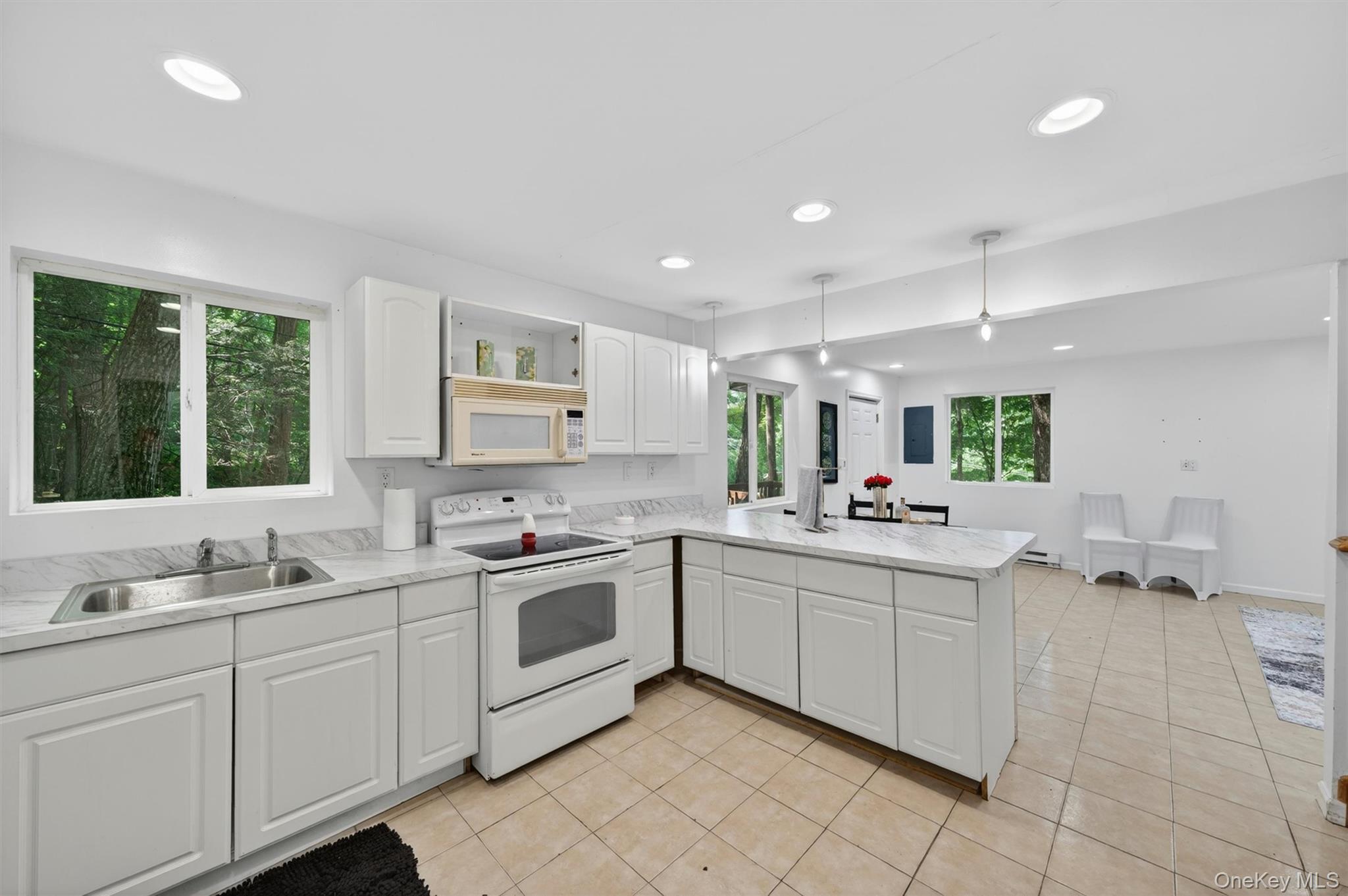 Single Family Cascade  Orange County, NY 10950, MLS-1005741-20