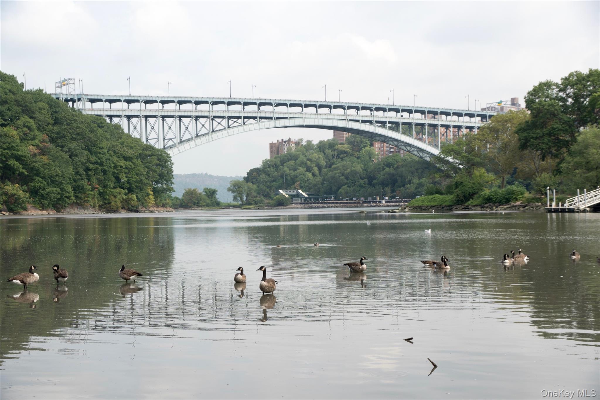 Coop 215  Manhattan, NY 10034, MLS-1005779-19