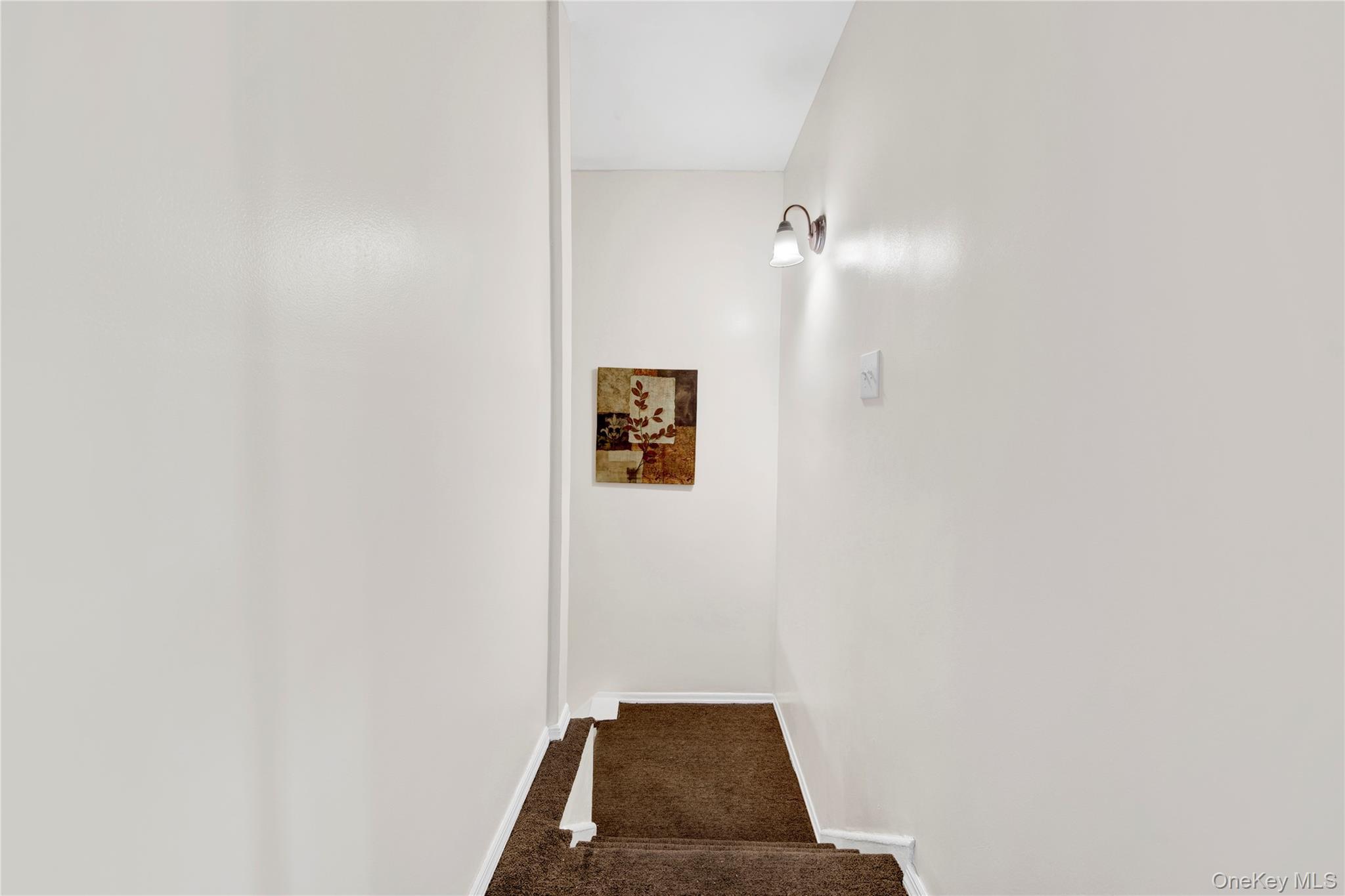 Single Family Torry Avenue Bronx, NY 10473, MLS-1005811-33