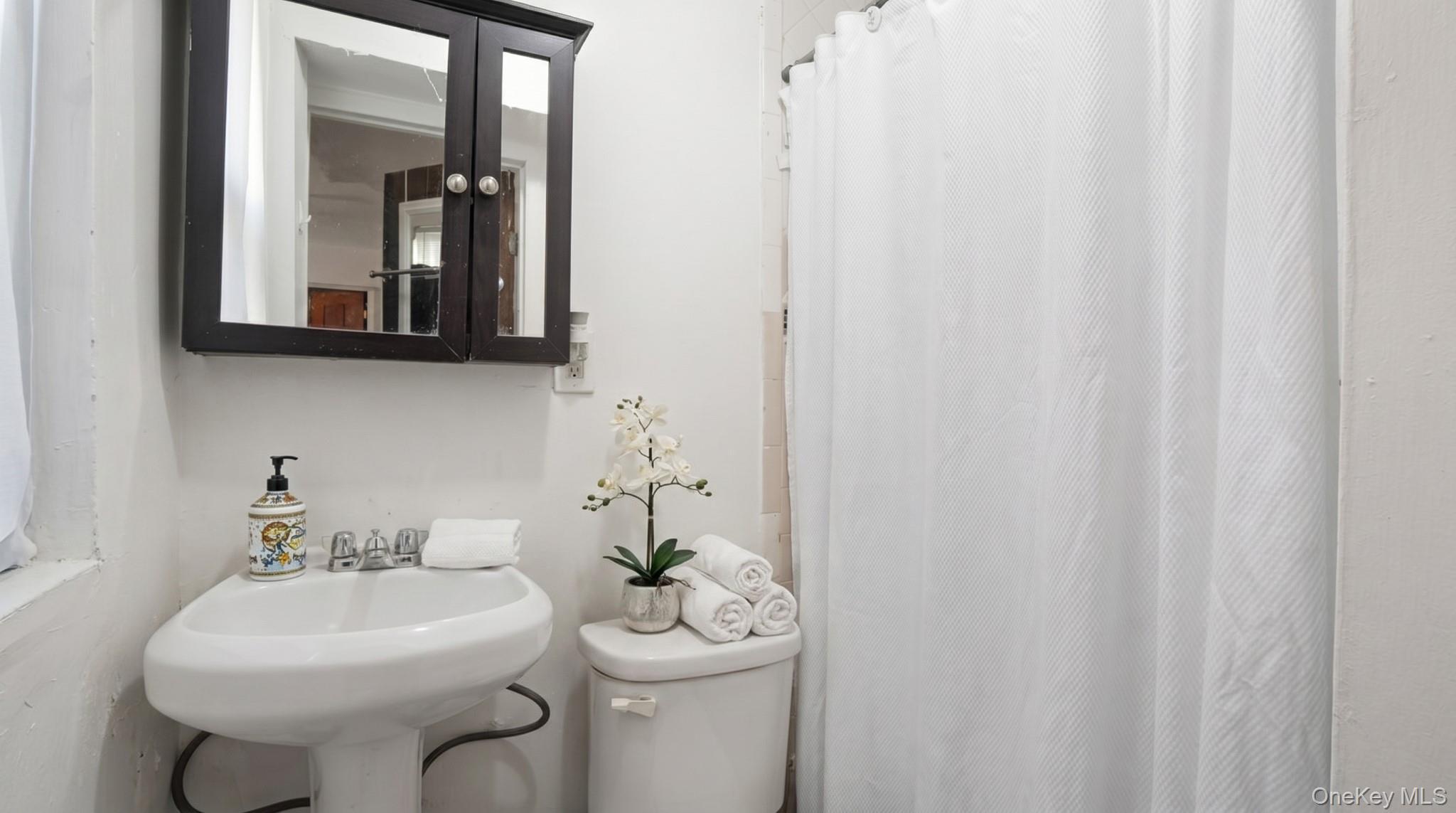 Single Family Briggs  Bronx, NY 10458, MLS-1005827-12