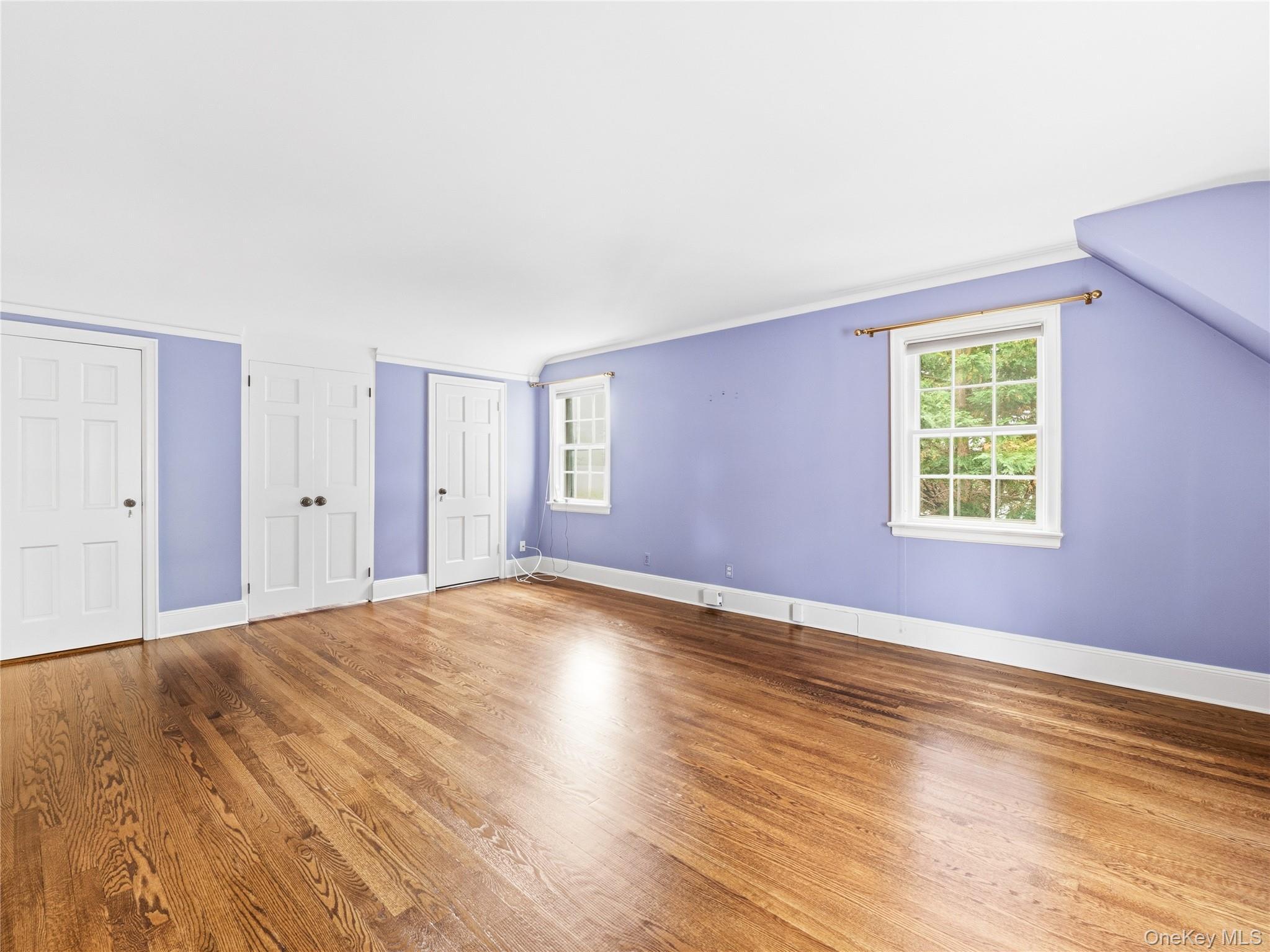 Single Family Mason Drive  Nassau County, NY 11030, MLS-1005851-24
