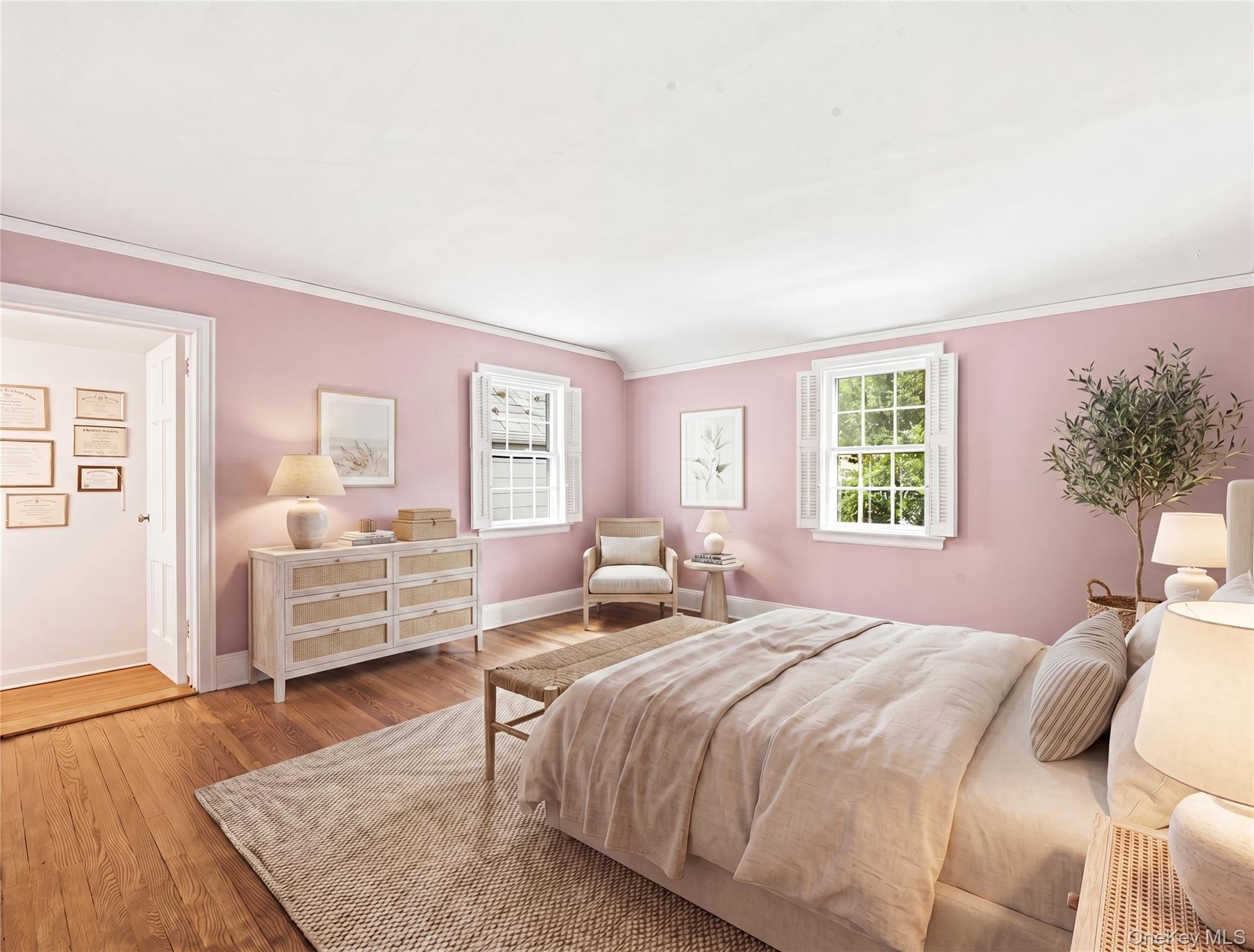 Single Family Mason Drive  Nassau County, NY 11030, MLS-1005851-29