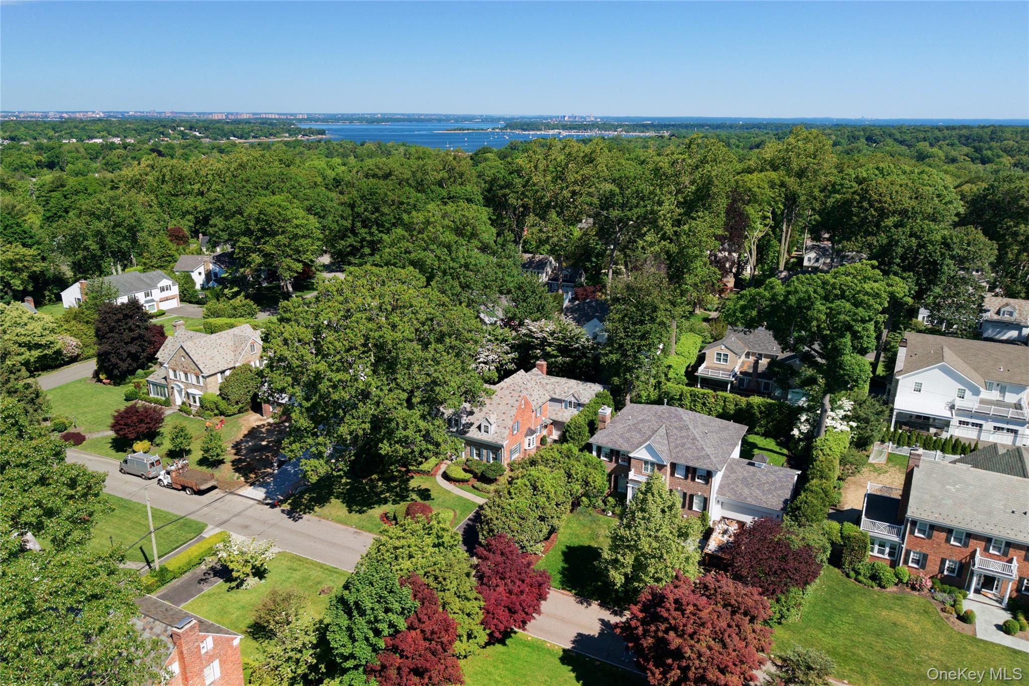 Single Family Mason Drive  Nassau County, NY 11030, MLS-1005851-35