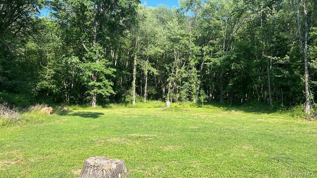 Single Family Sycamore Drive Orange County, NY 12553, MLS-1005897-4