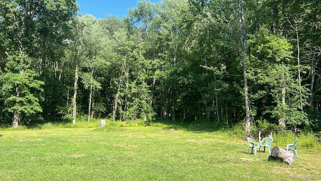 Single Family Sycamore Drive Orange County, NY 12553, MLS-1005897-5