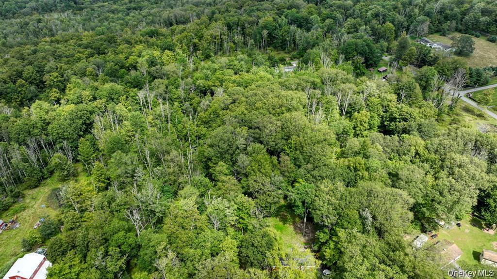 Single Family Oakridge Road  Ulster County, NY 12435, MLS-1005899-16