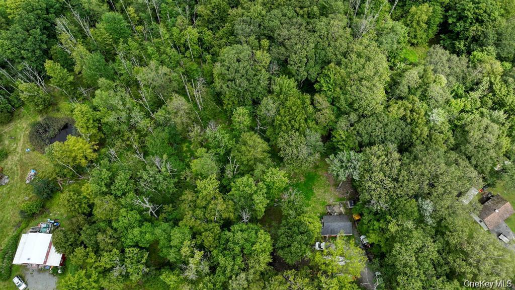 Single Family Oakridge Road  Ulster County, NY 12435, MLS-1005899-17