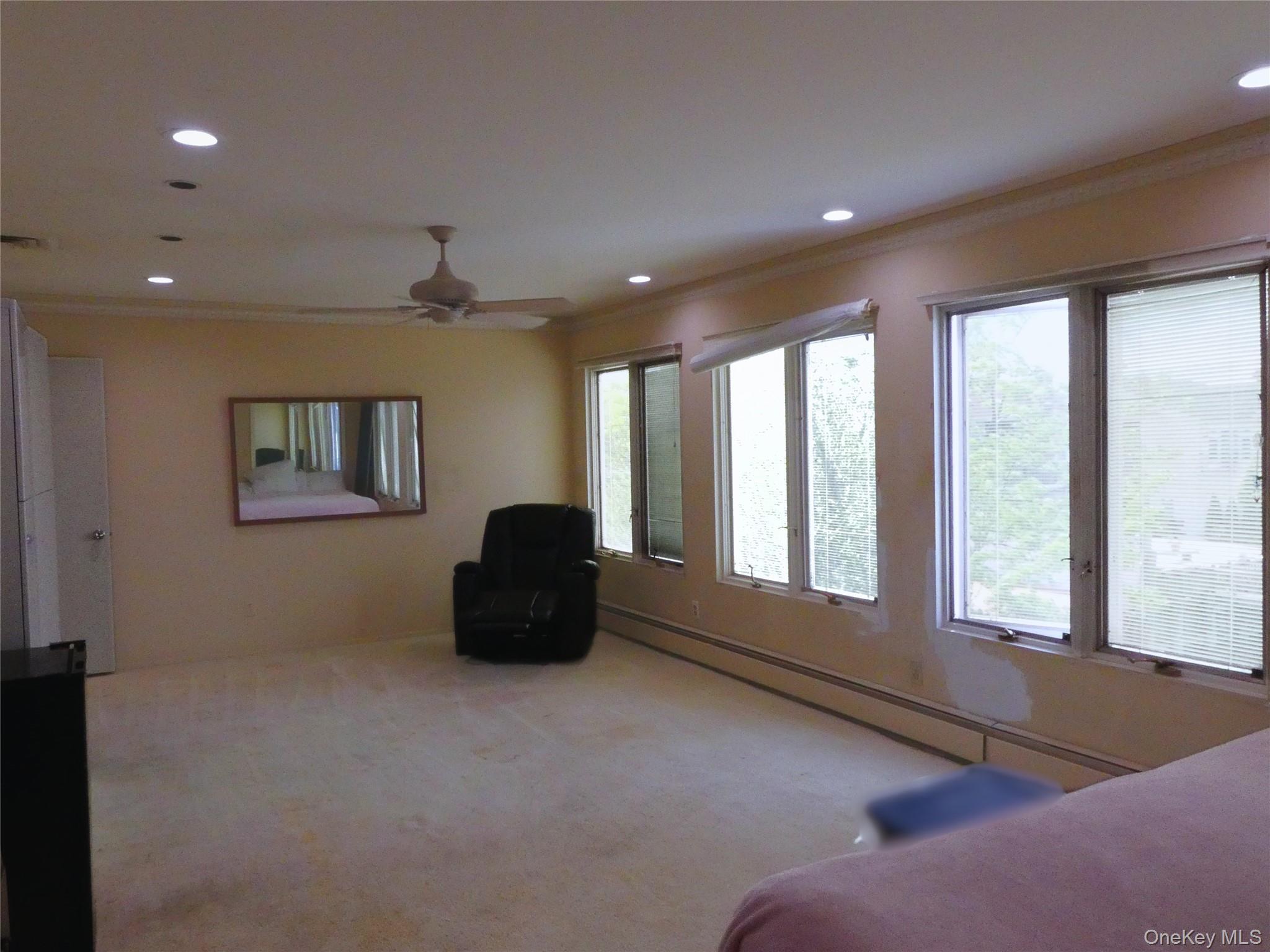 Single Family Scott Drive Nassau County, NY 11509, MLS-1005934-19