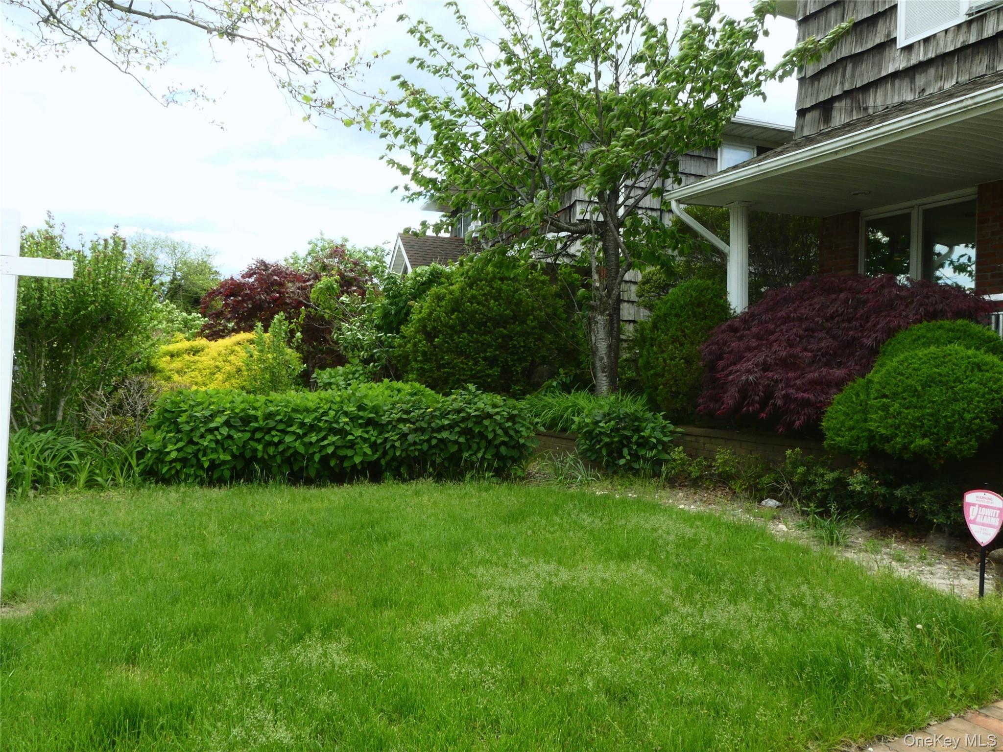 Single Family Scott Drive Nassau County, NY 11509, MLS-1005934-4