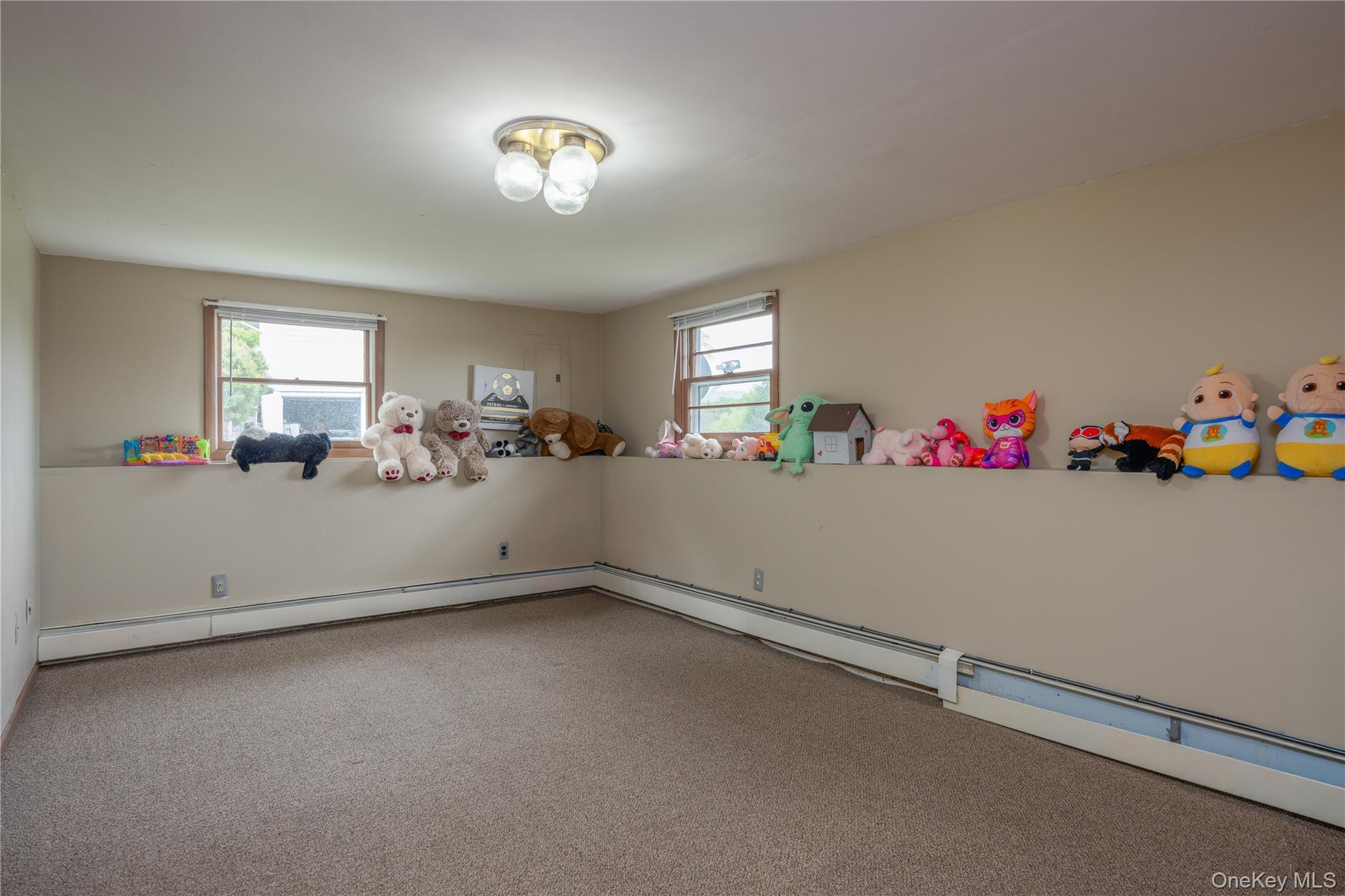 Single Family Barnes Road Orange County, NY 10992, MLS-1005945-18