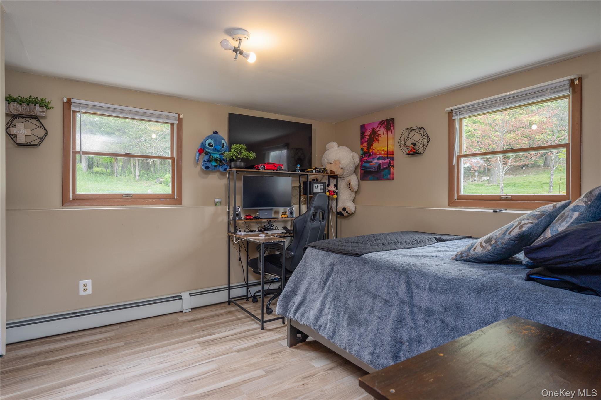 Single Family Barnes Road Orange County, NY 10992, MLS-1005945-19