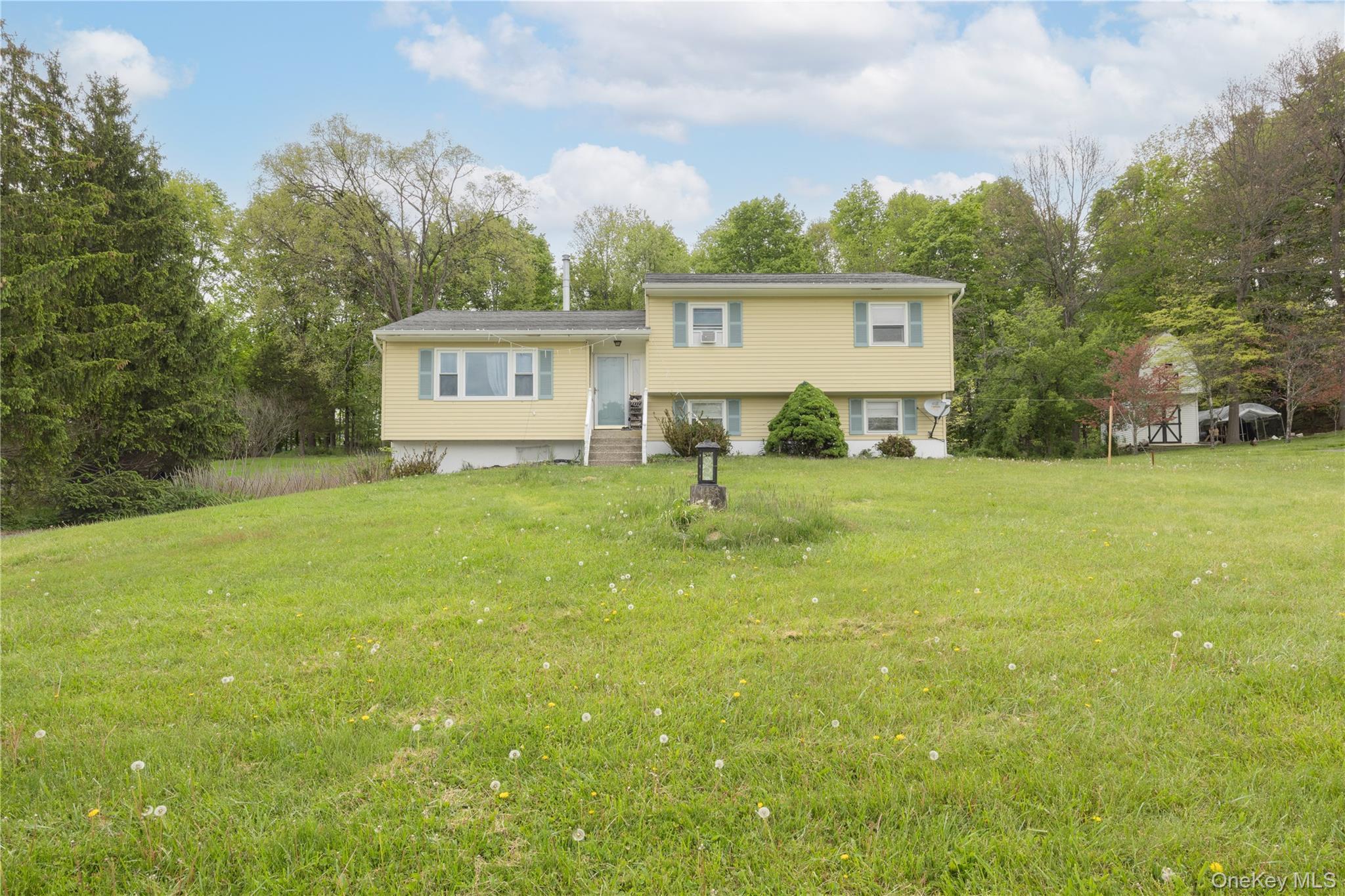 Single Family Barnes Road Orange County, NY 10992, MLS-1005945-3