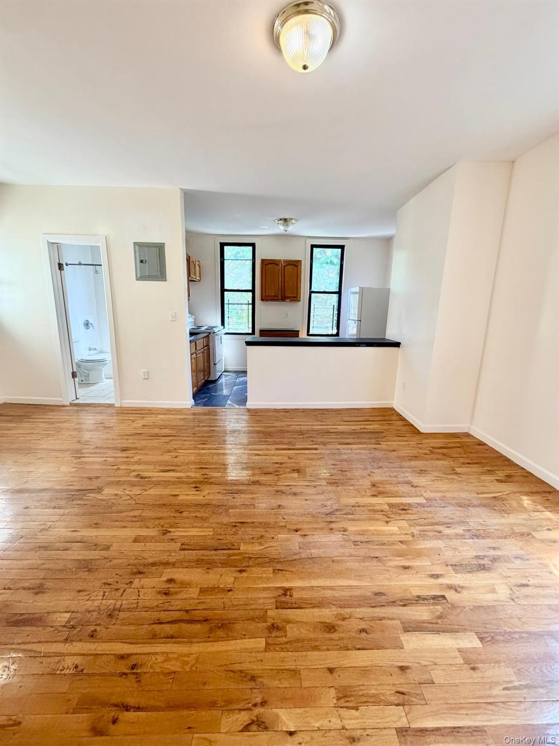 Single Family Bassford Avenue Bronx, NY 10458, MLS-1005994-6